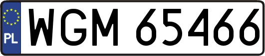 WGM65466
