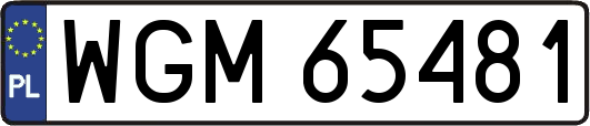 WGM65481