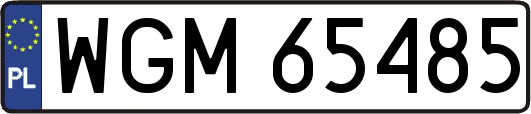 WGM65485