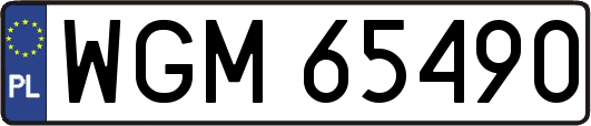 WGM65490