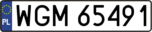 WGM65491