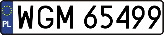 WGM65499