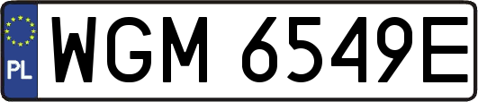 WGM6549E
