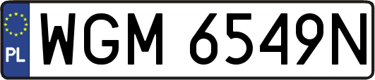 WGM6549N