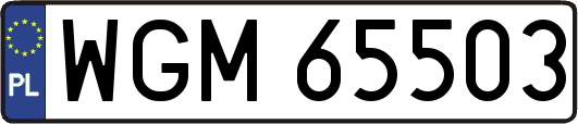 WGM65503