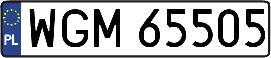WGM65505