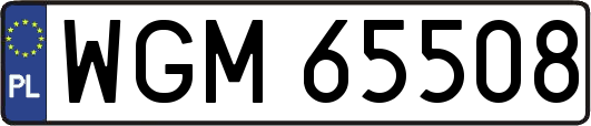 WGM65508