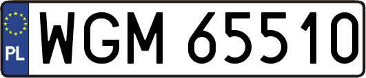 WGM65510