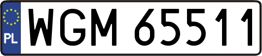 WGM65511