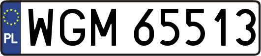 WGM65513