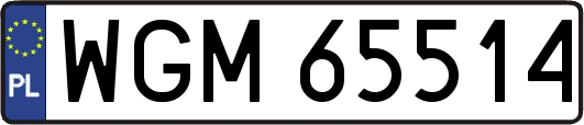 WGM65514