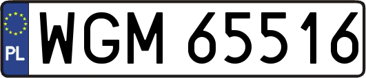 WGM65516