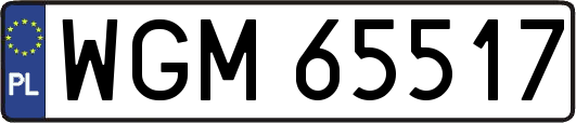 WGM65517