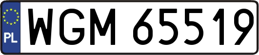 WGM65519