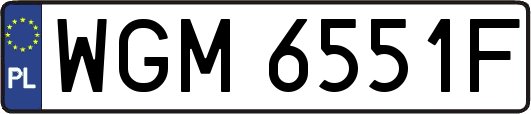 WGM6551F