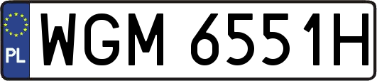 WGM6551H