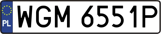 WGM6551P