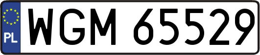 WGM65529