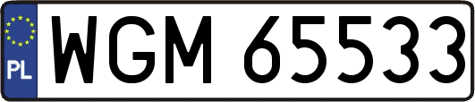 WGM65533