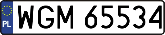 WGM65534
