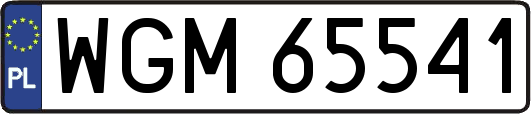 WGM65541
