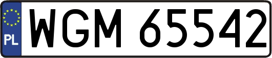 WGM65542