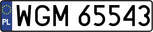 WGM65543