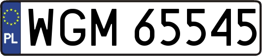 WGM65545