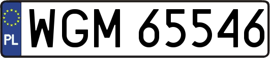 WGM65546