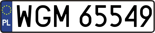 WGM65549