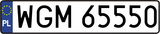 WGM65550