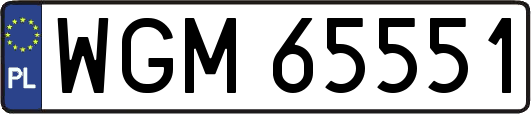 WGM65551