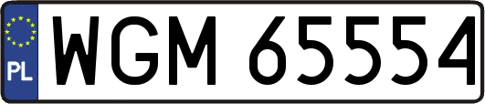 WGM65554