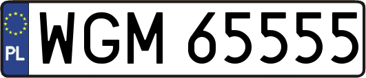 WGM65555