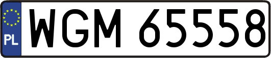 WGM65558
