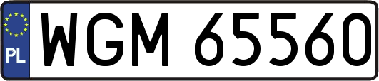 WGM65560