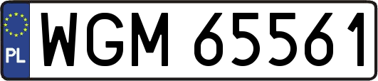 WGM65561