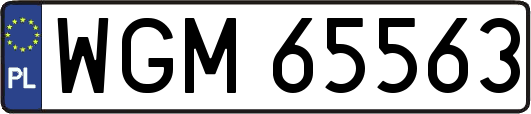 WGM65563