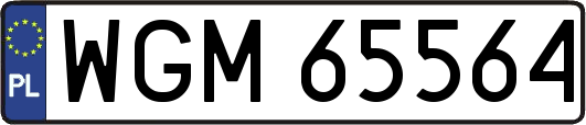 WGM65564