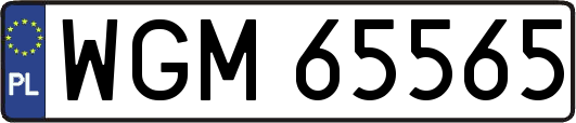 WGM65565