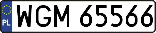 WGM65566