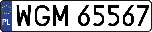 WGM65567