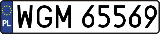 WGM65569