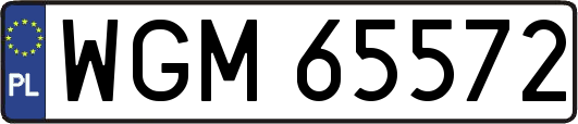 WGM65572