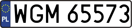 WGM65573