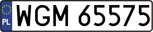WGM65575