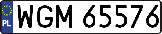WGM65576