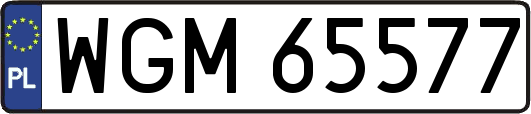 WGM65577