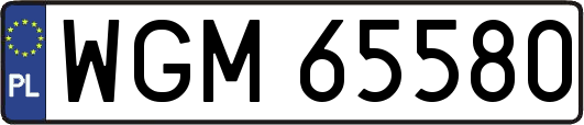 WGM65580