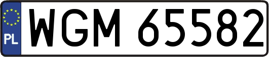 WGM65582